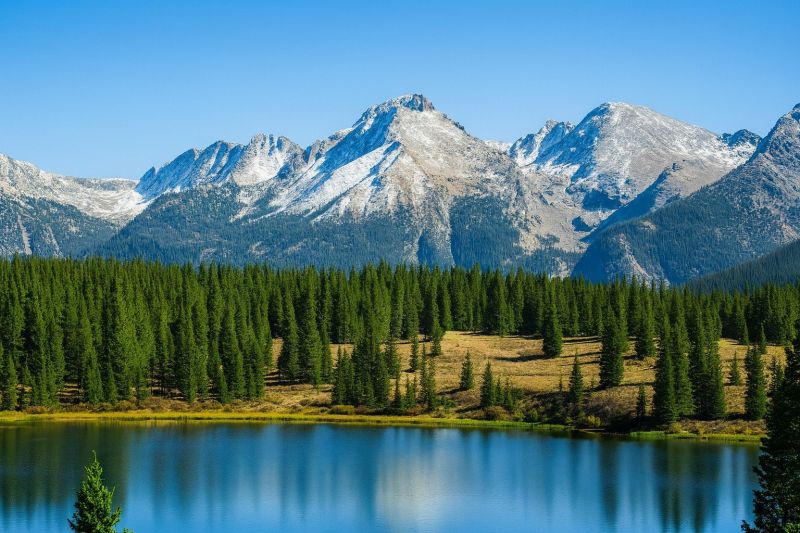 Local Metal Window Installation in Lafayette, CO