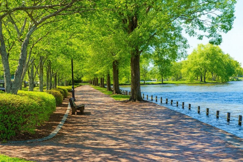 Local Vinyl Windows Installation in Locust Grove, VA