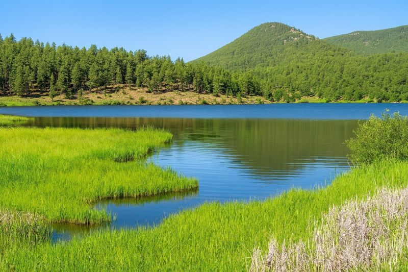 Local Window Remodeling in Evergreen, CO