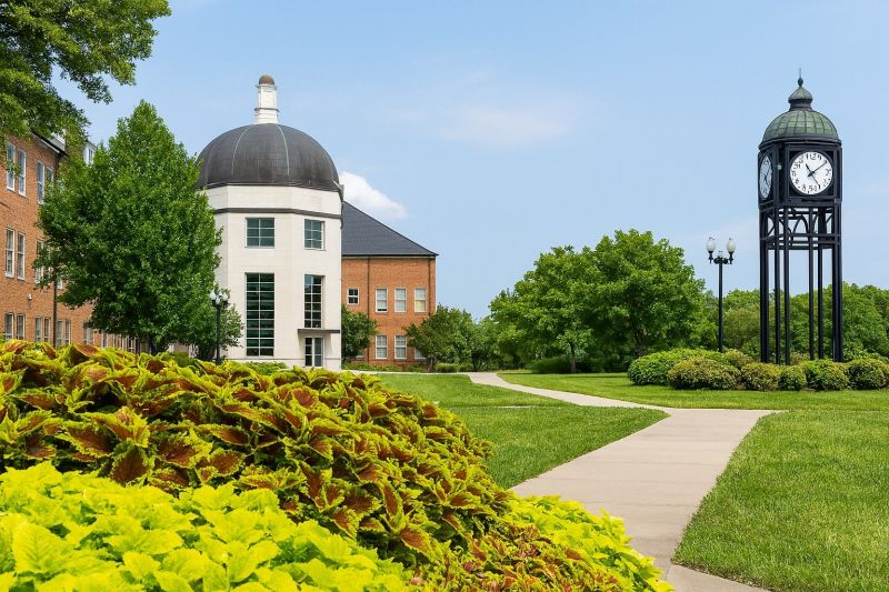 Local Window Remodeling in O Fallon, MO