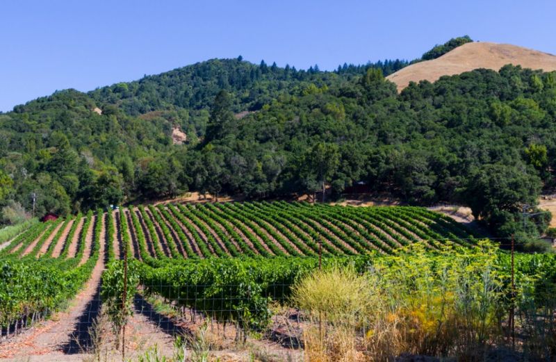 Local Window Remodeling in Santa Rosa, CA