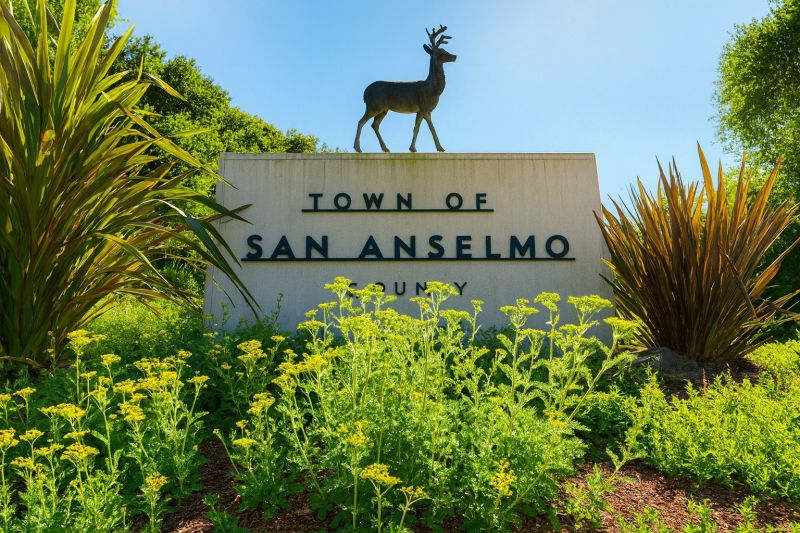 Local Window Remodeling in San Anselmo, CA