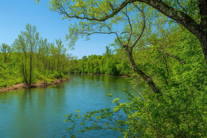 Local Window Service in Ozark, MO