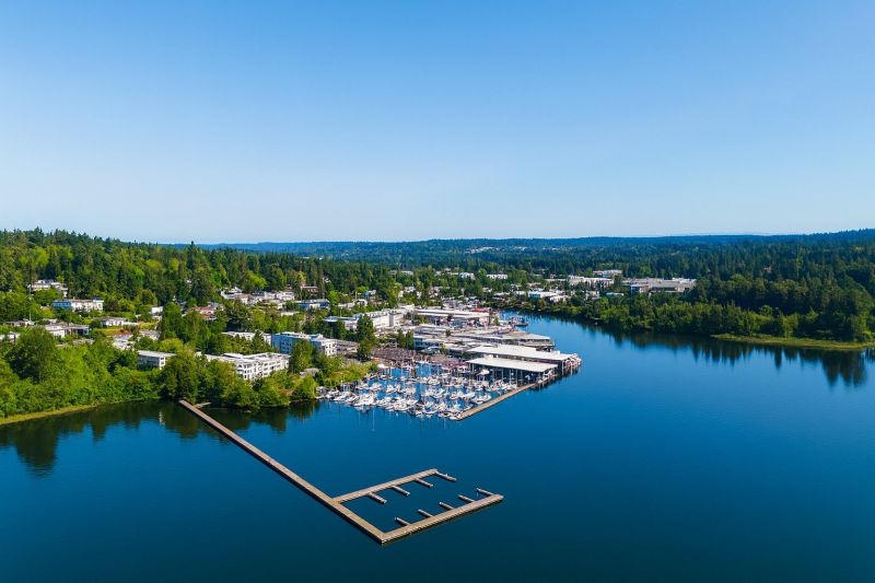 Local Window Service in Kenmore, WA