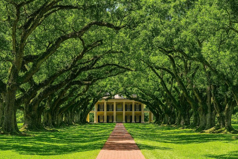 Local Window Service in Mandeville, LA