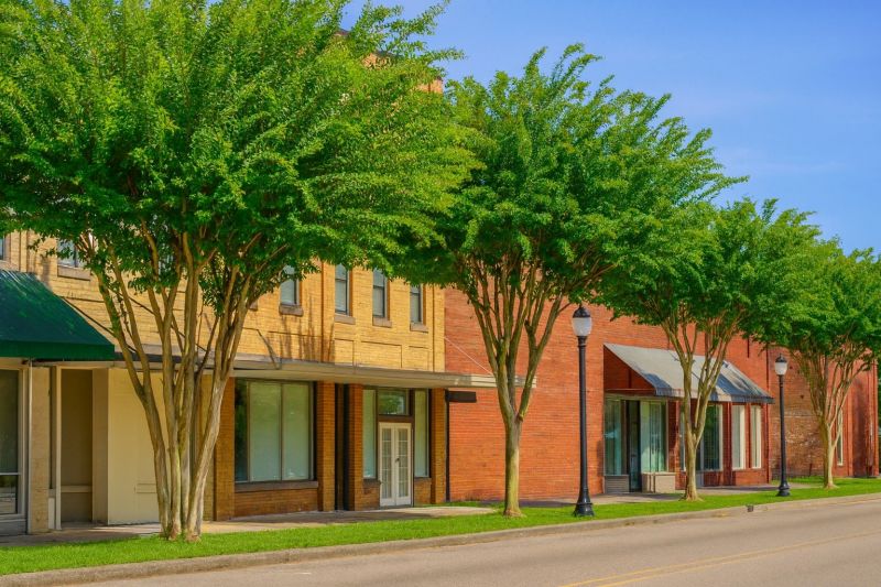 Local Window Service in Chipley, FL