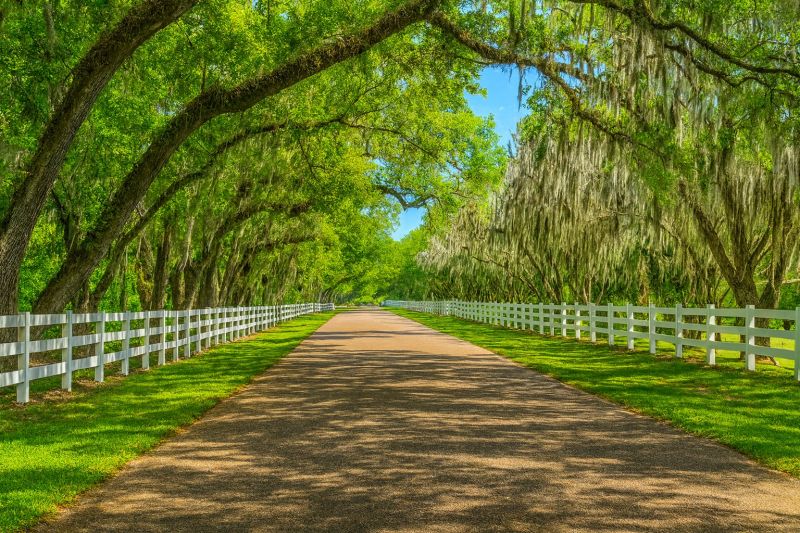 Local Window Service in Breaux Bridge, LA