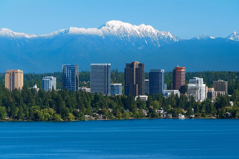 Local Window Service in Renton, WA