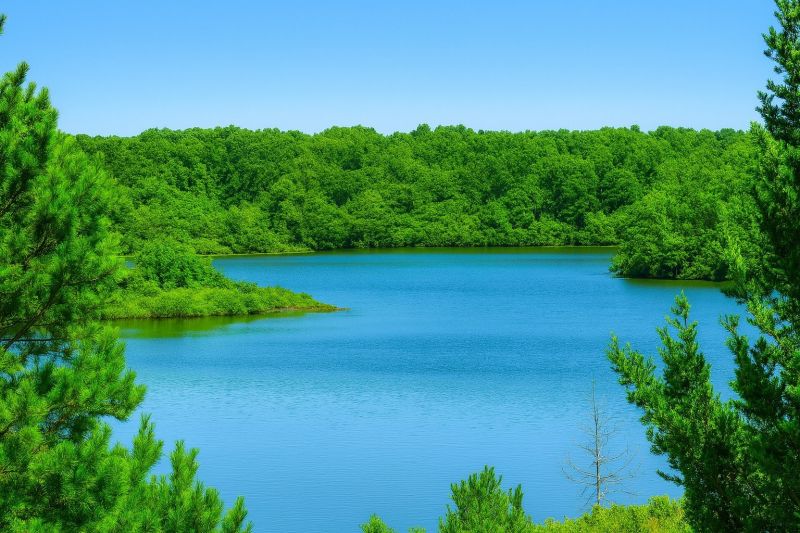 Local Window Service in Egg Harbor Township, NJ