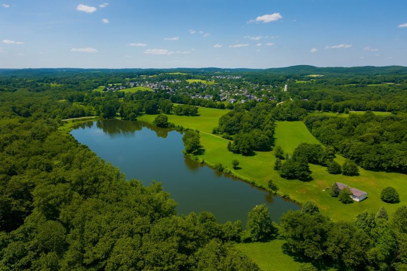 Local Window Service in Douglassville, PA