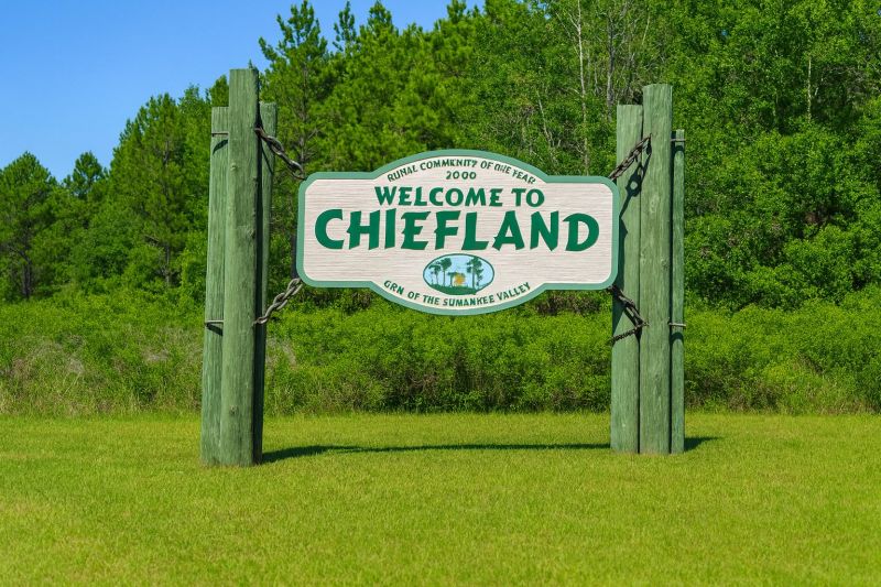 Local Windows Installation in Chiefland, FL