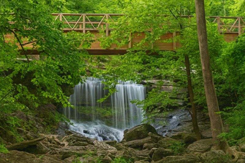 Local Windows Installation in Bella Vista, AR