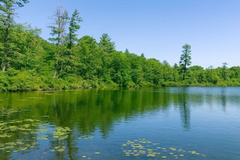 Local Windows Installation in Lake Ariel, PA