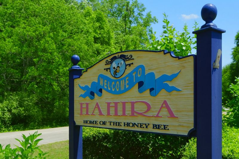 Local Windows Replacement in Hahira, GA