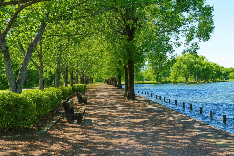 Local Windows Replacement in High Ridge, MO