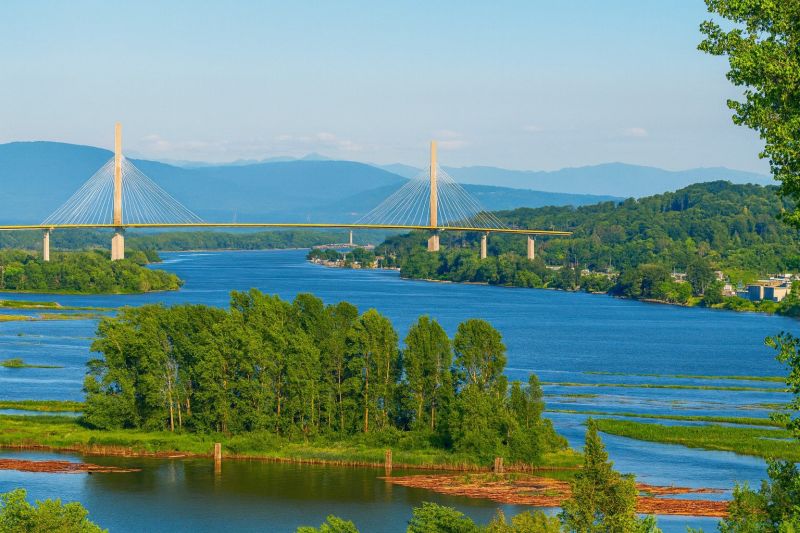 Local Wood Windows Installation in Fraser, MI