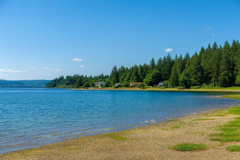 Local Wood Windows Installation in Belfair, WA