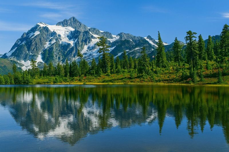 Local Wood Windows Installation in Maple Valley, WA