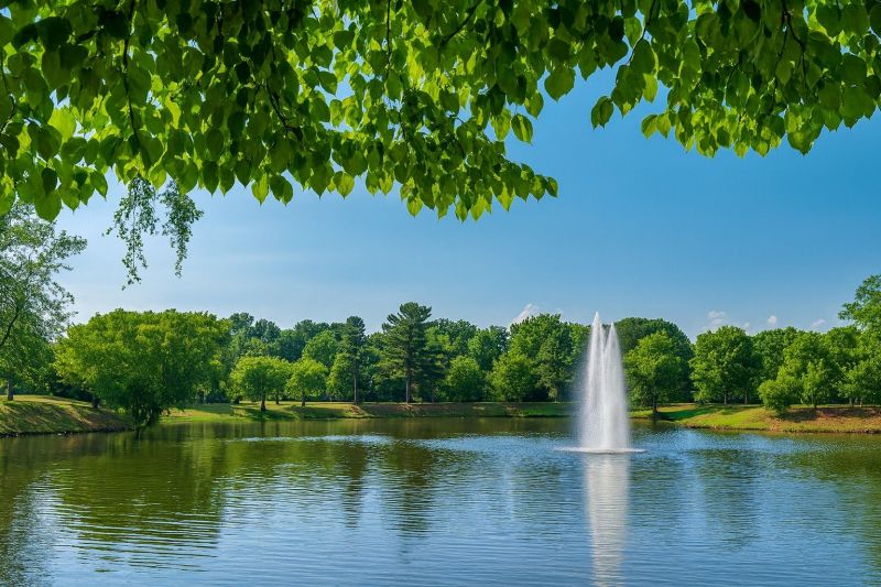 Local Wood Windows Installation in Fairview, NC